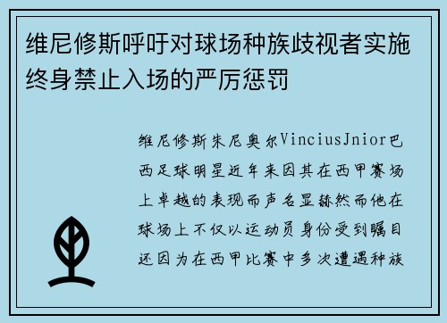 维尼修斯呼吁对球场种族歧视者实施终身禁止入场的严厉惩罚